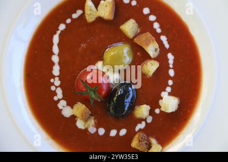 Ristorante Schloss Haigerloch, Gazpacho, zuppa di verdure spagnole fredde, pomodori e peperoni rossi, olive, crostini, piatto di zuppe, vegetariano, healt Foto Stock