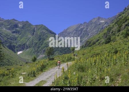 Rifugio Soria Ellena, Entracque, provincia di Cuneo, Italia, Europa Foto Stock