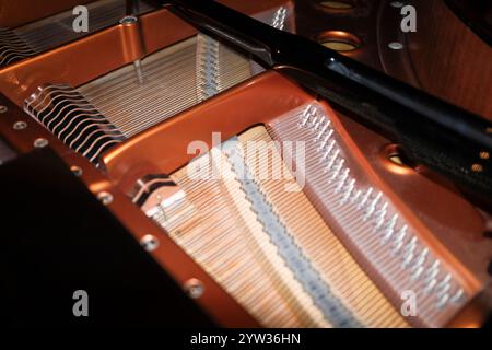 Vista ravvicinata dell'interno di un pianoforte a coda, con particolare attenzione alle corde di rame e ai martelli. Foto Stock