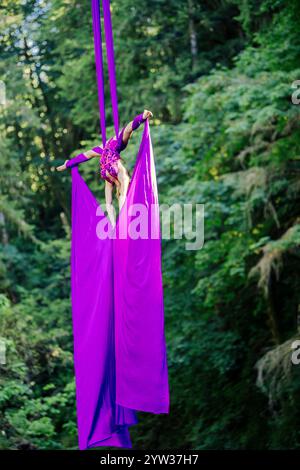 Esecutore di seta aerea che si posa con tessuto viola in una lussureggiante foresta verde, Stati Uniti Foto Stock