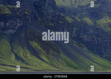 Rock Face, Skaftafell nationalpark, Islanda meridionale, Islanda, Europa Foto Stock