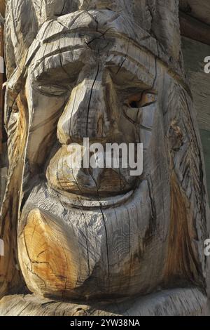 Intaglio del legno, Radium Hot Springs, British Columbia, Canada, Nord America Foto Stock