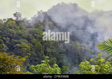 Fumo proveniente dal campo agricolo in fiamme Foto Stock