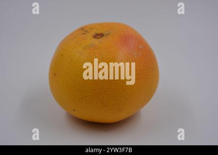 Salute, cibi sani, frutta, alimentazione adeguata. Un pompelmo rosso e arancione su sfondo bianco opaco. Foto Stock
