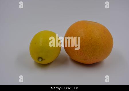 Salute, cibi sani, frutta, alimentazione adeguata. Un limone giallo e un pompelmo rosso-arancio su sfondo bianco opaco. Foto Stock