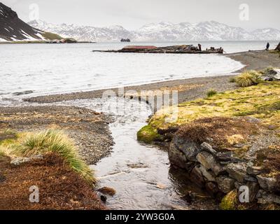 Guardando lungo un ruscello verso King Edward Cove e Cumberland East Bay, oltre il relitto della barque in legno Louise, Grytviken, Georgia del Sud Foto Stock