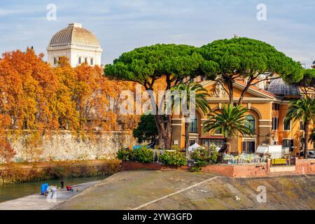 Veduta dell'ospedale Fatebenefratelli sull'Isola Tiberina e della cupola della Sinagoga di Roma - Roma, Italia Foto Stock