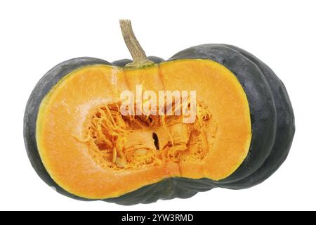 Zucca moscata, zucca, a fette, a fette, cibo, frutta, frutta, polpa Lahn-Dill-Kreis, Assia, Repubblica Federale tedesca Foto Stock