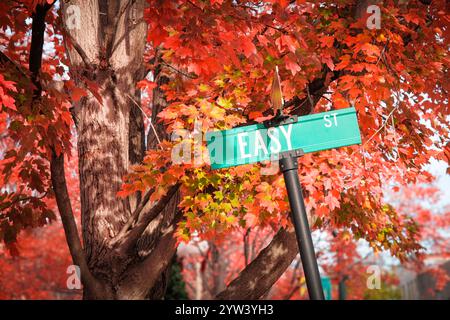 Il cartello indica la strada per Easy Street Foto Stock
