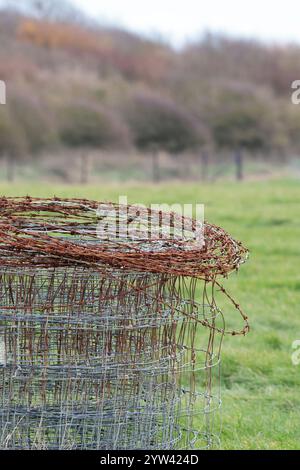 Rotolo di recinzione a filo di recinzione a pannello quadrato e una bobina di filo spinato arrugginito adagiato sopra l'erba in un campo della costa meridionale Inghilterra, Regno Unito, stagione invernale Foto Stock