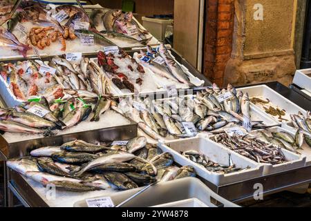 Mercato del pesce in via Pescherie vecchie nel centro storico di Bologna, nella regione Emilia-Romagna del nord Italia Foto Stock