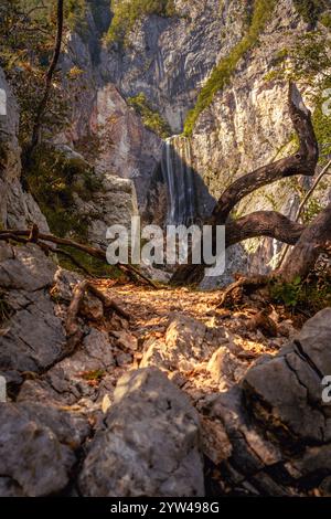 L'incredibile cascata Boka nella natura selvaggia e la bellezza del famoso Parco Nazionale del Triglav in Slovenia. Foto Stock