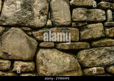 Una vista dettagliata di un vecchio muro di pietra ricoperto di muschio verde vibrante, che mette in risalto la sua struttura rustica e la sua crescita naturale. Foto Stock