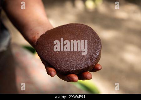 Cioccolato biologico proveniente dalla regione messicana di Oaxaca, prodotto in modo tradizionale su metato, un antico strumento in pietra per la macinazione dei prodotti. Foto Stock