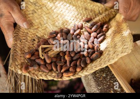 Una donna a Oaxaca in Messico che tosta fagioli di cacao su una comal in una stufa a legna. Foto Stock