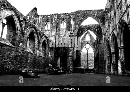 Spettacolare vista in bianco e nero dall'interno delle rovine della chiesa dell'abbazia di Tintern in Galles Foto Stock