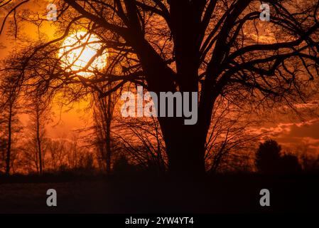 Albero solitario in mezzo a un campo aperto al tramonto bellissime nuvole di cielo in sottofondo al sole Foto Stock