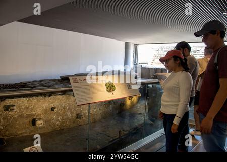 Città del Messico, Messico 12 novembre 2024: Turisti al Templo Mayor Museum di città del Messico. Foto Stock