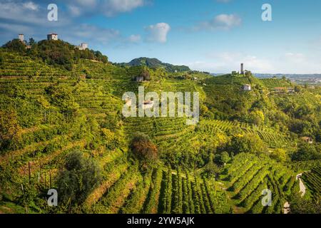 Colline del Prosecco, vigneti, chiesa di San Lorenzo e torri di Credazzo. Sito UNESCO. Farra di Soligo. Regione Veneto, Italia, Europa. Foto Stock