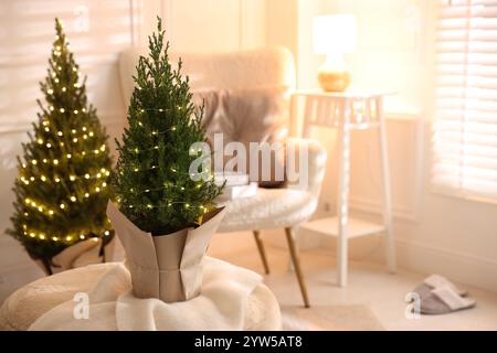 Piccoli alberi di abete rosso decorati con luci natalizie all'interno Foto Stock