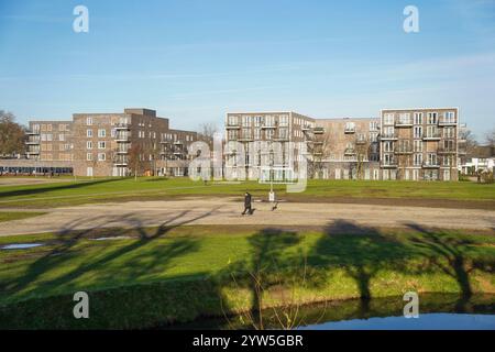 Alloggiamento di moderna architettura, Sittard, Limburgo, Paesi Bassi. Foto Stock