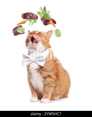 Simpatico gatto circondato da verdure volanti e fegato crudo su sfondo bianco. Cibo naturale per animali domestici Foto Stock