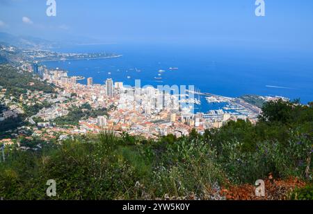 Monaco, 12 luglio 2019. Vista panoramica aerea di Monte Carlo, Monaco. Crediti: Vuk Valcic / Alamy Foto Stock