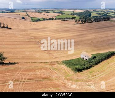 Fienile abbandonato in un campo raccolto Foto Stock