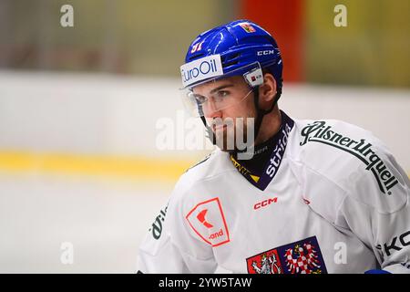 Pardubice, Repubblica Ceca. 9 dicembre 2024. Filip Zadina partecipa alla sessione di allenamento della nazionale ceca prima degli Swiss Hockey Games, parte dell'Euro Hockey Tour, a Pardubice, in Repubblica Ceca, il 9 dicembre 2024. Crediti: Josef Vostarek/CTK Photo/Alamy Live News Foto Stock