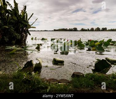Tramonto nuvoloso sul fiume Mincio a Mantova Foto Stock