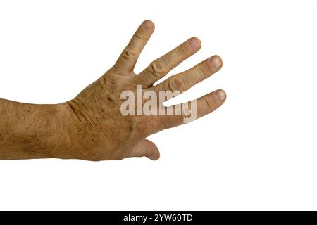 La mano maschile sinistra con il dorso della mano con le dita spalmate su sfondo bianco. Foto Stock