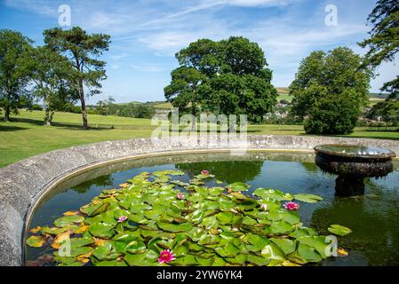 Rovine storiche e fontana con ninfee a Appuldurcombe House, Isola di Wight Foto Stock