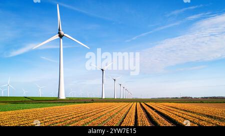 Una pittoresca scena di un campo vivace pieno di fiori di tulipani colorati, con eleganti turbine a vento che girano in lontananza contro un blu chiaro Foto Stock