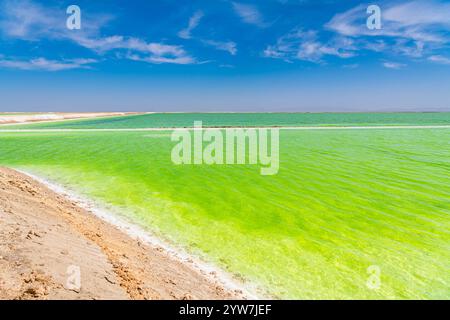 Primo piano sull'acqua verde brillante del lago Qarhan vicino a Golmud, Qinghai, Cina, immagine di sfondo con spazio per copiare il testo Foto Stock