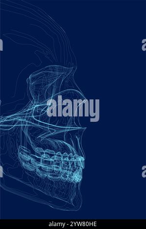 contorno blu del cranio umano, vista laterale - illustrazione vettoriale Illustrazione Vettoriale