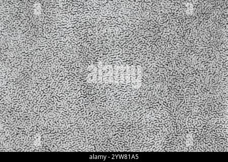 Panno in tessuto grigio con capelli corti, morbido e morbido sfondo a trama astratta. Materiale tessile a livello superficiale color argento fotografico, sfondo Foto Stock