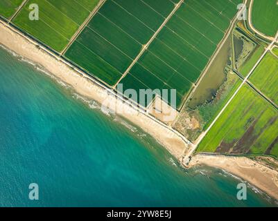 Vista aerea della spiaggia di Marquesa e del ristorante Vascos, dove è possibile vedere il rifugio della costa del Delta dell'Ebro, in una mattina d'estate (Catalogna, Spagna) Foto Stock