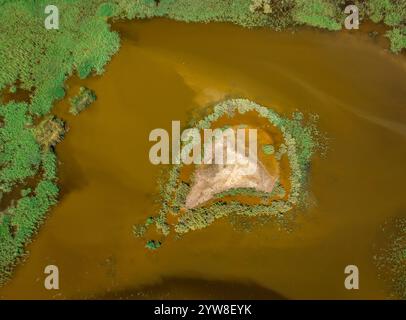 Vista aerea della laguna di Violí, nel Delta dell'Ebro, in un pomeriggio estivo (Montsià, Tarragona, Catalogna, Spagna) ESP Vista aérea de la laguna de Violí Foto Stock