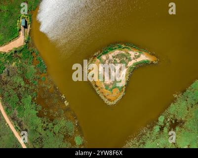 Vista aerea della laguna di Violí, nel Delta dell'Ebro, in un pomeriggio estivo (Montsià, Tarragona, Catalogna, Spagna) ESP Vista aérea de la laguna de Violí Foto Stock