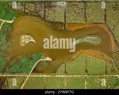 Vista aerea della laguna di Violí, nel Delta dell'Ebro, in un pomeriggio estivo (Montsià, Tarragona, Catalogna, Spagna) ESP Vista aérea de la laguna de Violí Foto Stock