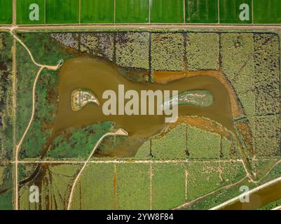 Vista aerea della laguna di Violí, nel Delta dell'Ebro, in un pomeriggio estivo (Montsià, Tarragona, Catalogna, Spagna) ESP Vista aérea de la laguna de Violí Foto Stock