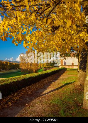 Vista autunnale del parco pubblico delle antiche mura di Lucca alla porta di San Donato con foglie gialle di tiglio Foto Stock