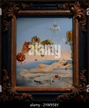 Parigi, Francia - 11 09 2024: Esposizione del surrealismo. Sogno causato dal volo di un'ape intorno a un melograno, un secondo prima di svegliarsi dipinto da sa Foto Stock