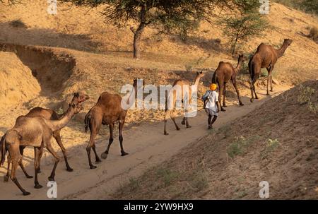 Pushkar Camel Fair Foto Stock