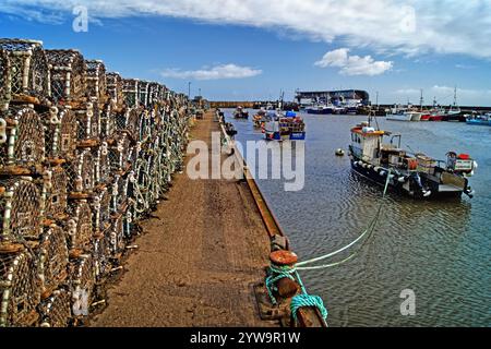 Regno Unito, East Riding of Yorkshire, Bridlington Harbour, aragosta e barche da pesca. Foto Stock