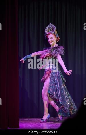 Una giovane signora vestita in modo pomposo a un ballo di gala durante uno spettacolo (grande cena di gala - spettacolo), il carnevale, venezia Foto Stock