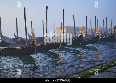 Vista da "colonna di San Marco e San Teodoro" sulle gondole che giacciono sull'acqua all'alba a Venezia in una mattinata nebbiosa d'inverno, Italia, Europa Foto Stock