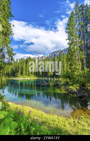 Le acque smeraldo del lago di carezza riflettono la catena montuosa del latemar e la lussureggiante foresta verde in una soleggiata giornata estiva nelle dolomiti, italia Foto Stock