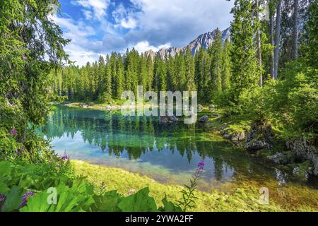 Le acque smeraldo del lago carezza riflettono gli abeti circostanti e la catena montuosa del latemar nelle dolomiti italiane in una luminosa giornata estiva Foto Stock