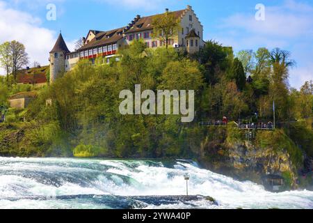 Cascate del Reno con il castello Laufen a Neuhausen a Sciaffusa, Svizzera, Europa Foto Stock